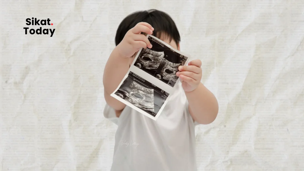 Courtesy : Baby Meteor