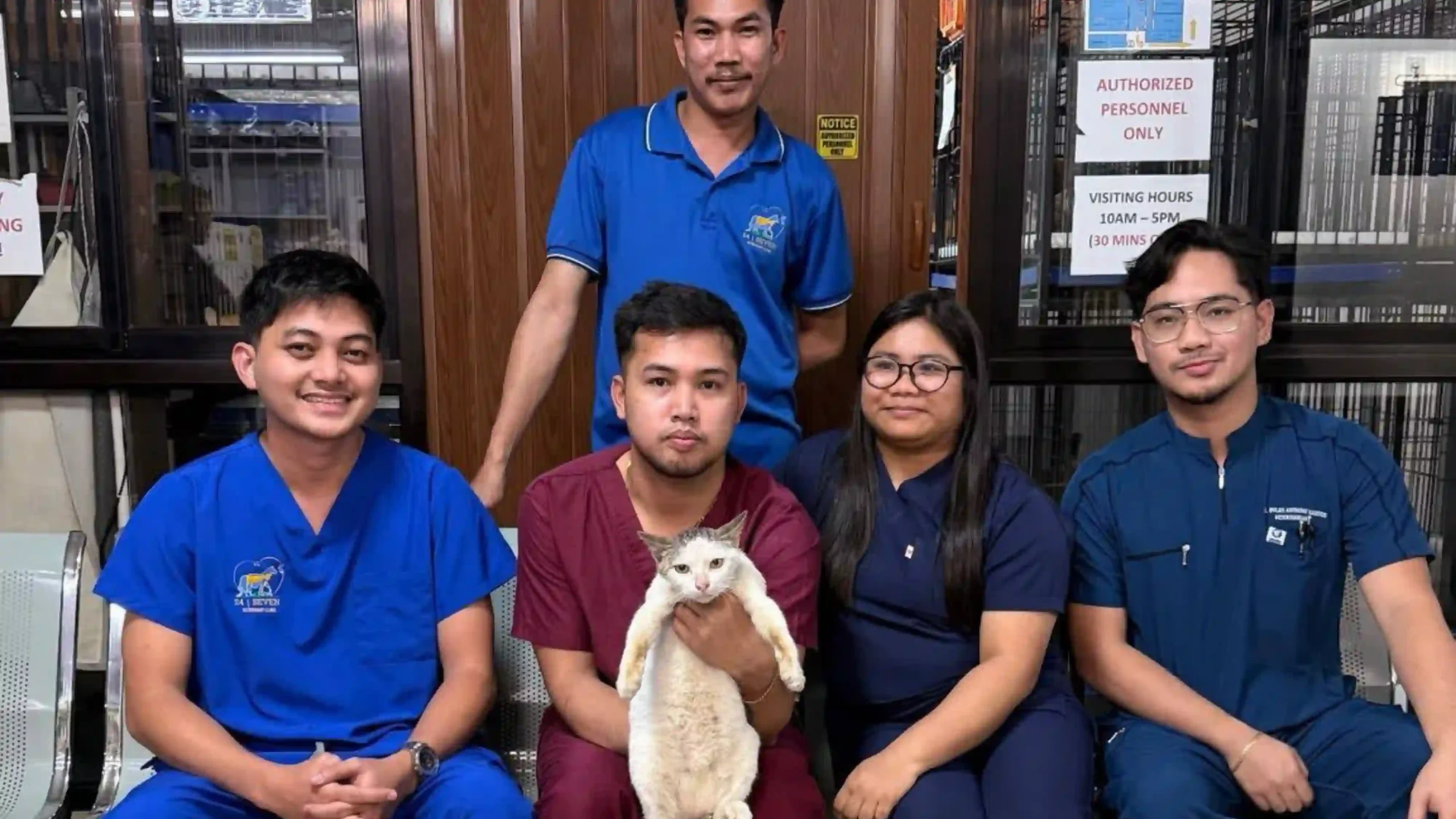 Animal Welfare groups reported that the cat survived the fall