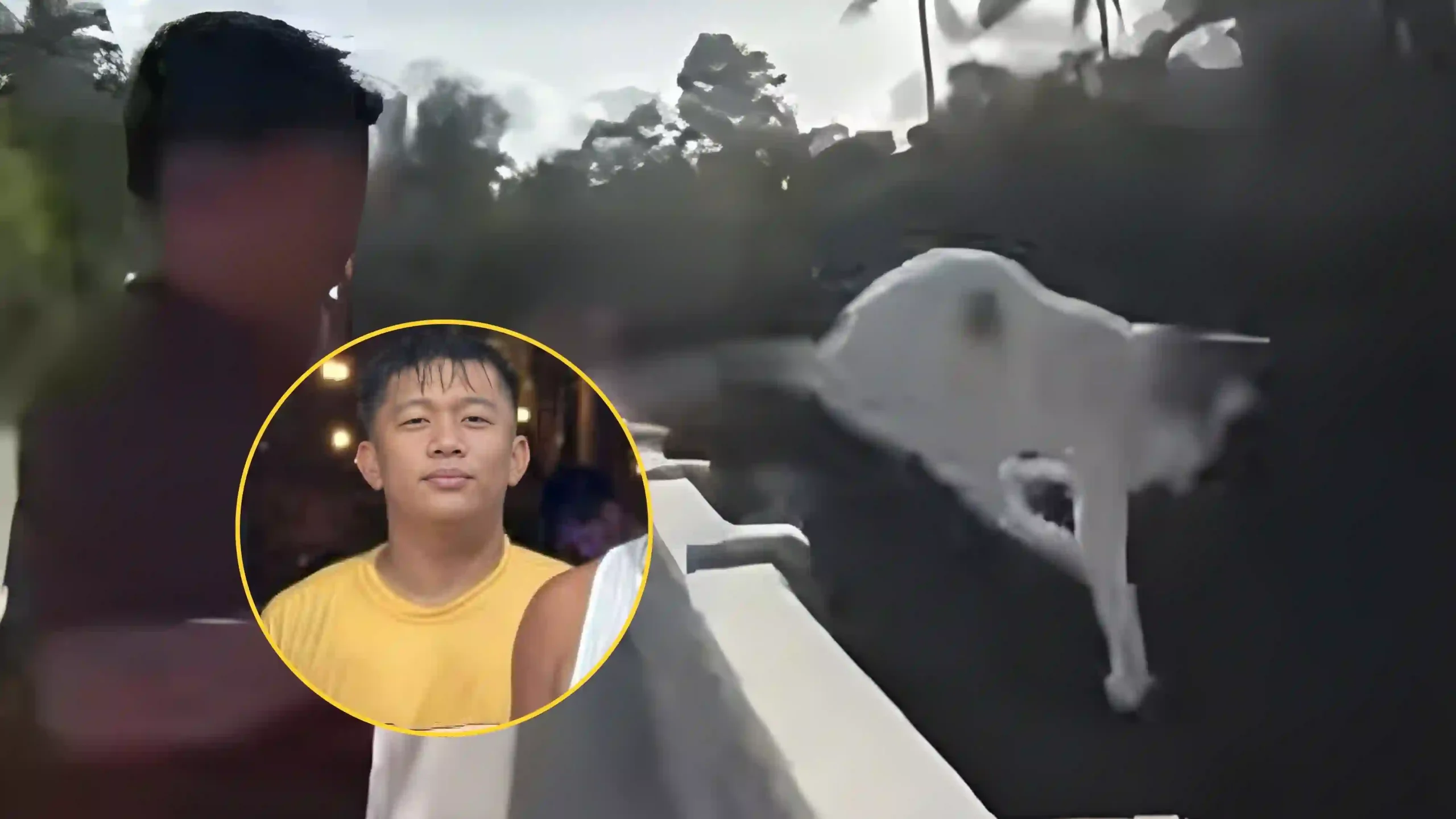 Roi Vincent Cruto throwing a white cat off a bridge in Indang, Cavite