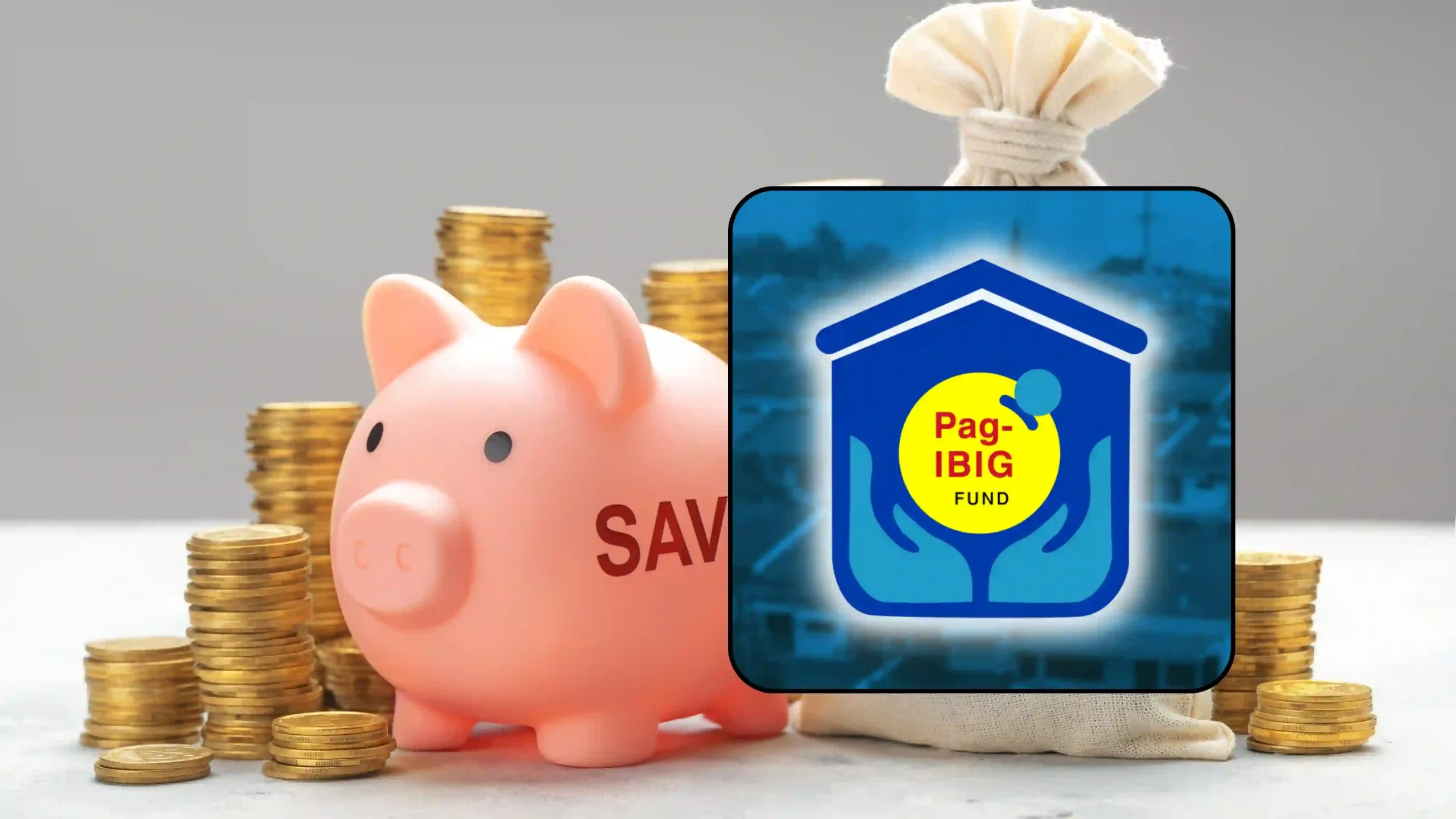Pag-IBIG Fund logo with a pink piggy bank and stacks of gold coins