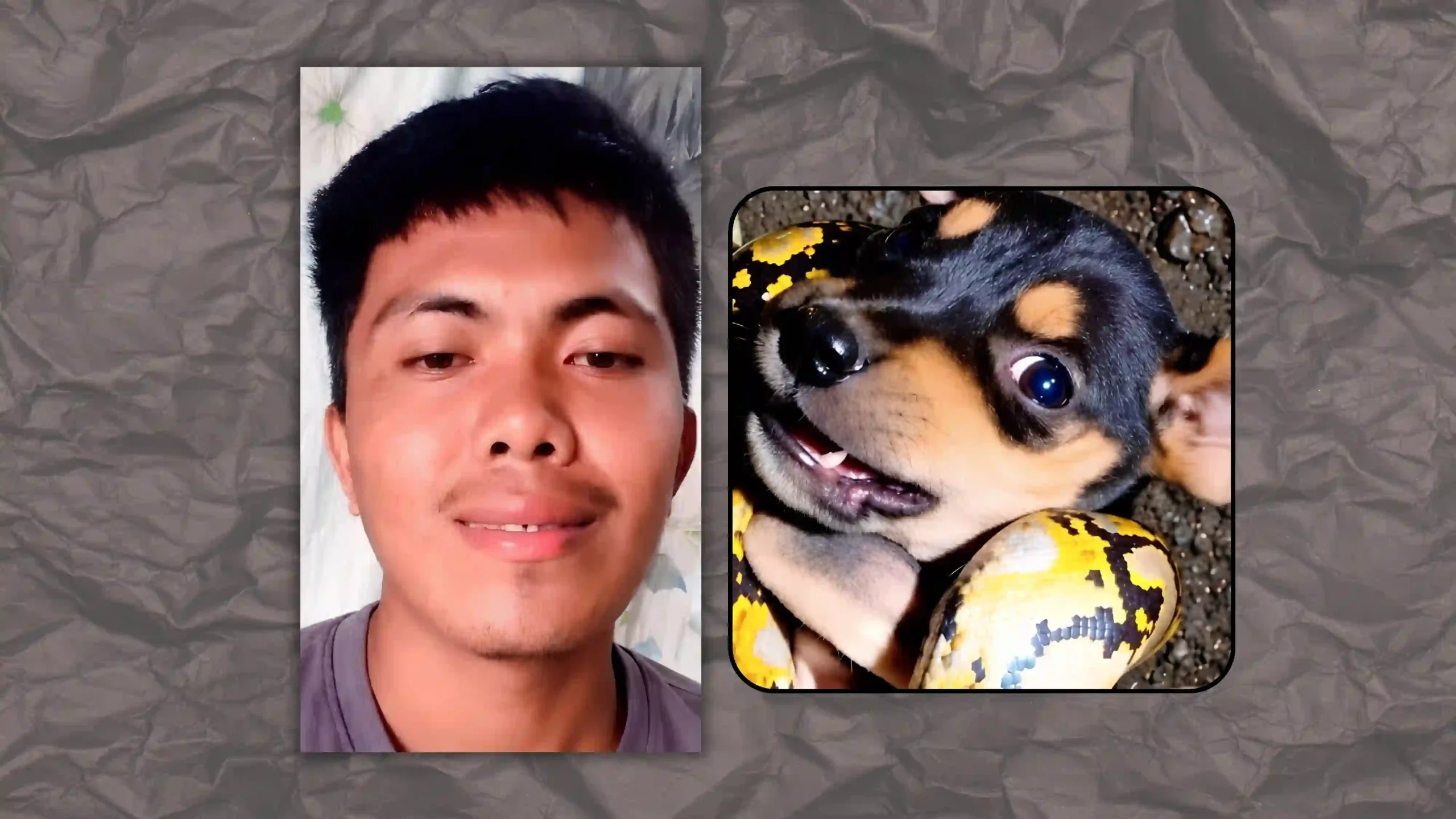 Rommel C. Martinez is reportedly being sought following an alleged animal cruelty incident involving a puppy and a pet python.